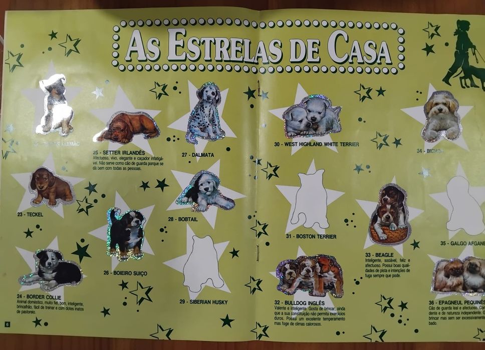 Revista bollycao