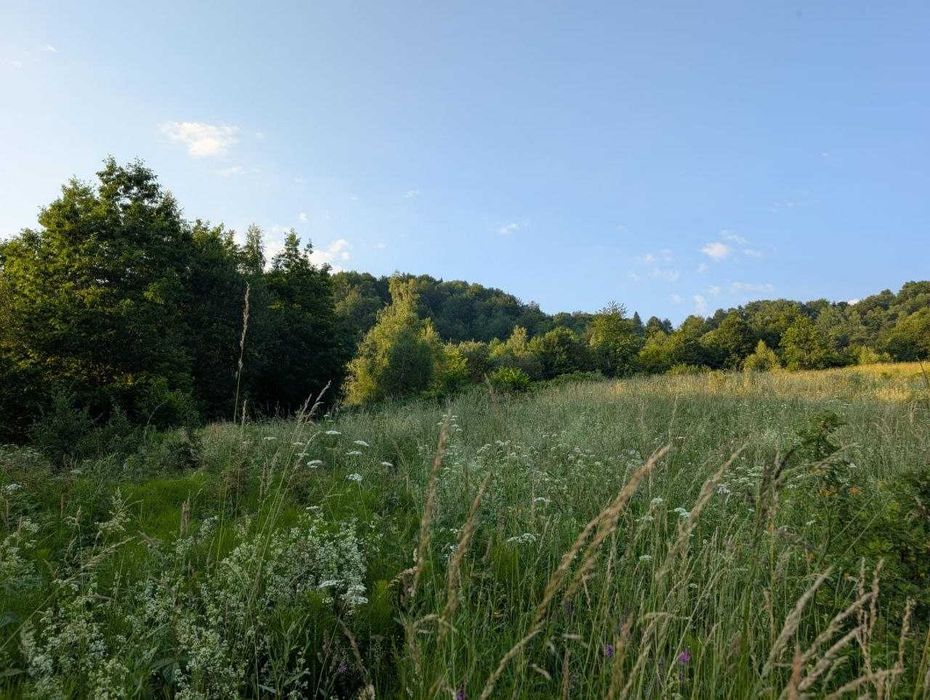 Земельна ділянка 1га Східниця - Перепростиня