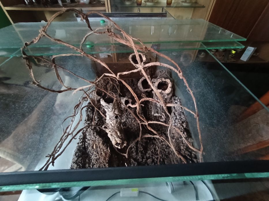 Terrarium dla węża 158 litrów