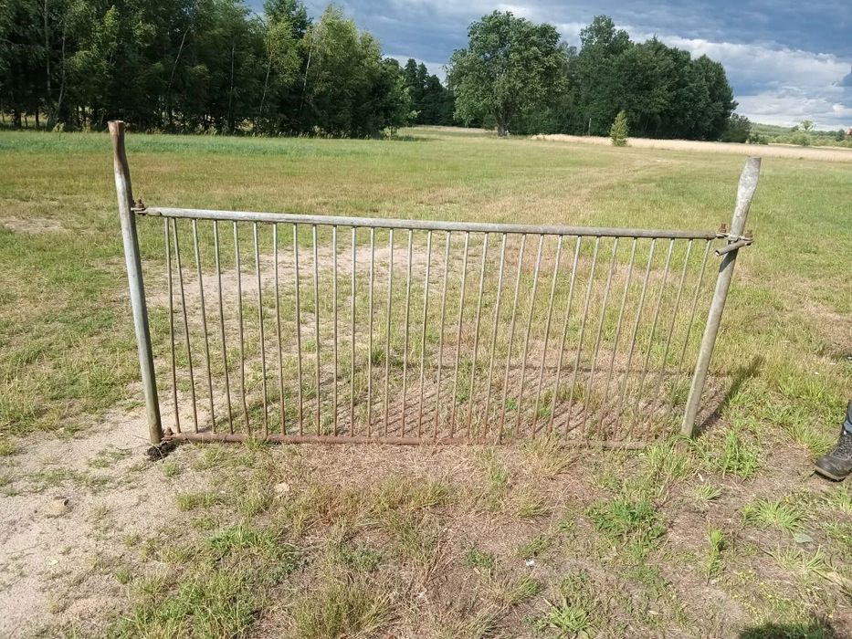 Wygrodzenia dla bydła, płoty