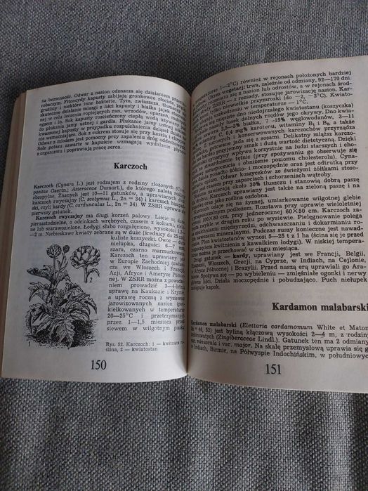 Rośliny lecznicze i bogate w witaminy P.Czikow J. Łaptiew