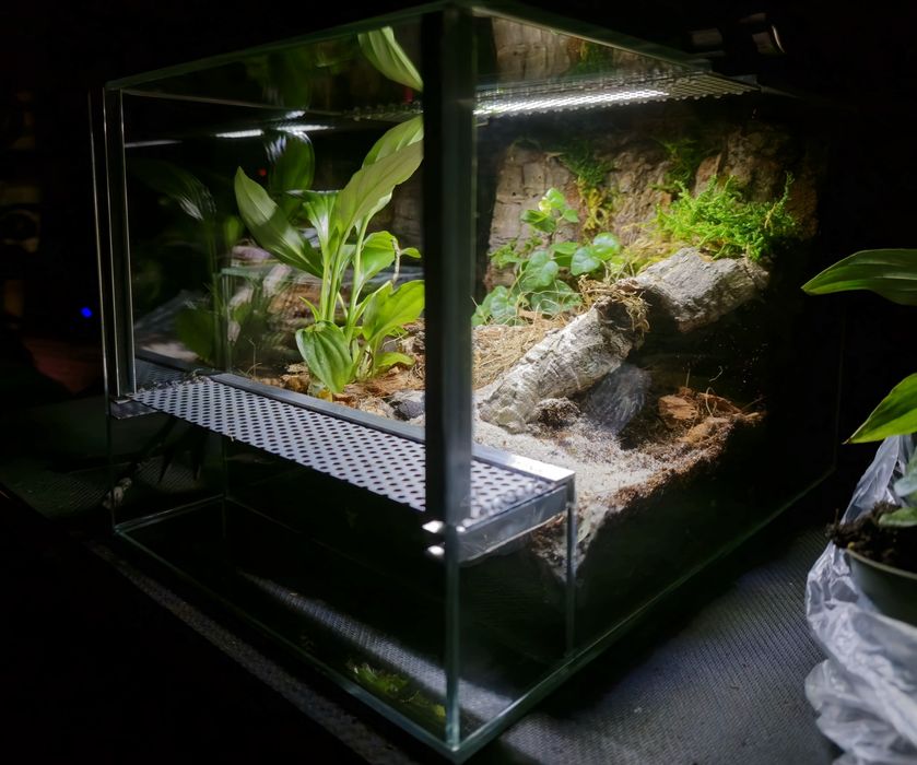 Terrarium na zamówienie | Bioaktywne | Ścianka strukturalna