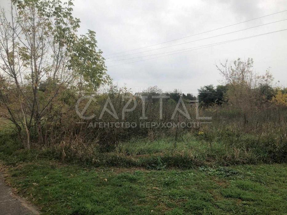 Продаж земельної ділянки Нові Безрадичі 100 сот