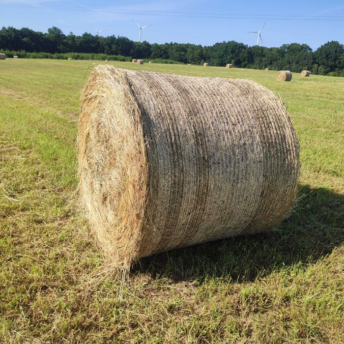 Siano w atrakcyjnej cenie