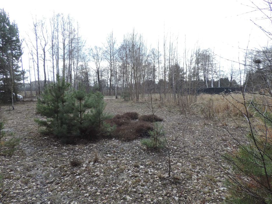 świetna działka pod budowę domu, idealne wymiary, spokojna okolica