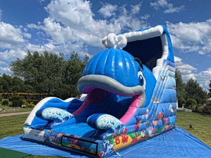 Dmuchańce Białogard | Wynajem zamków, zjeżdżalnie, urodziny, festyny, wesela, imprezy firmowe