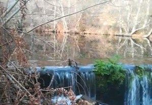 Terreno Douro troco por carro