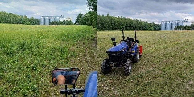 Koszenie dziełek traw zarośli boisk ogrodów Faktura