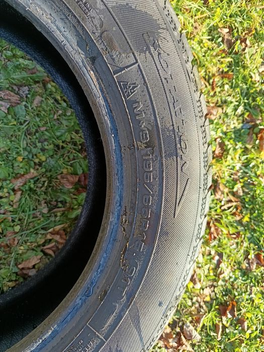 Opony zimowe Dębica 195/65r15