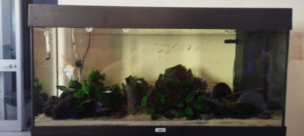 Aquário Juwel Rio 180 LED + Móvel SBX + Filtro Externo Aqua Nova + Decoração