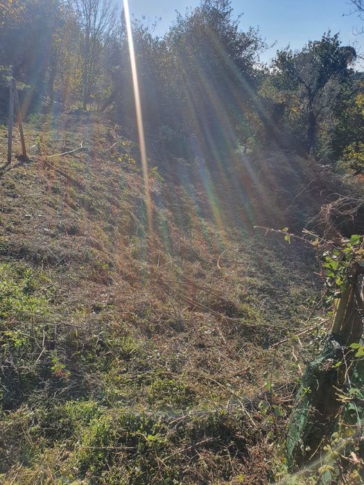 Manutenção dos terrenos