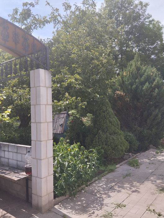 Продам в тихом красивом месте Нововодолажском района  дом  с ставком