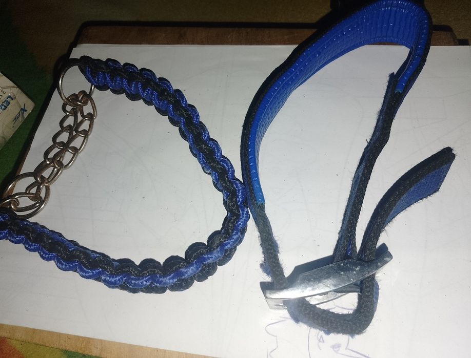 Одежда для маленькой собачки