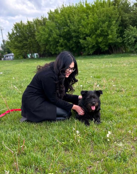 Wyjątkowa sunia do adopcji