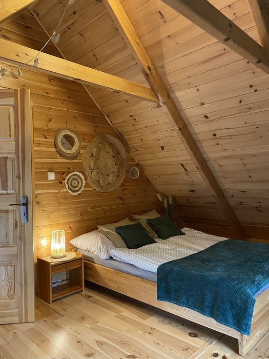 Domki w sam las. Domek Bory Tucholskie nad jeziorem