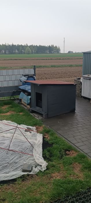 Buda do średniego psa