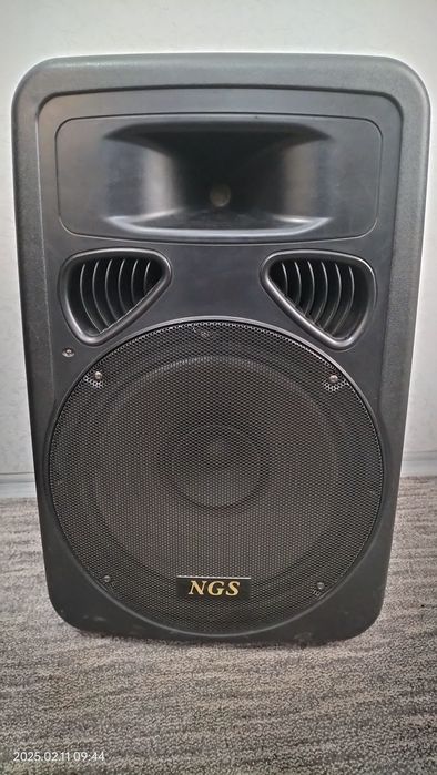 Активная колонка NGS PP-1515AUS-CB с двумя беспроводными микрофонами,