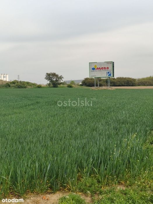 W strefie przemysłowej przy autostradzie