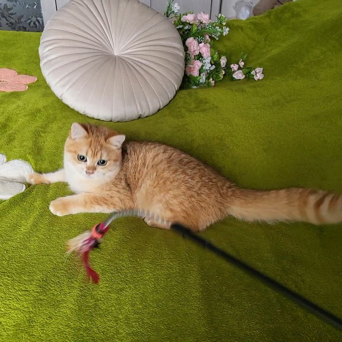 Мальчик -красавчик!