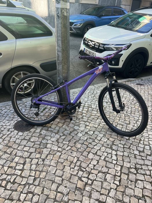 Rockerider roxa