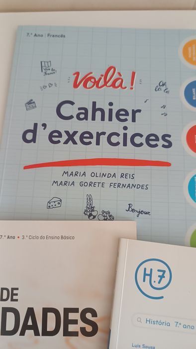 Livros de Fichas do 7 ano vendo ou troco