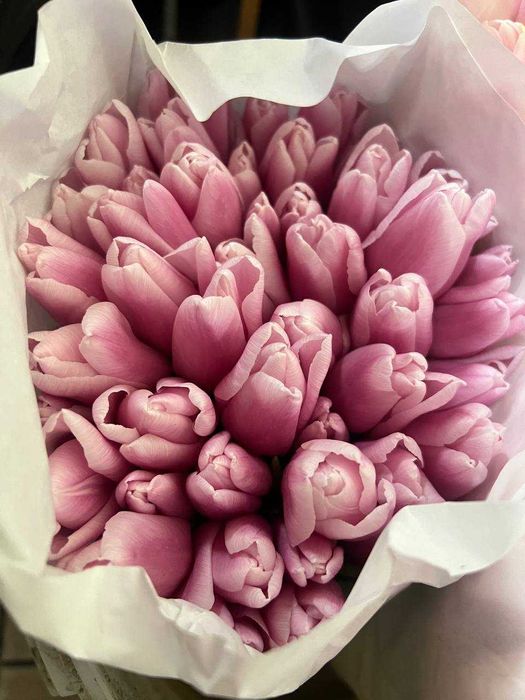 Тюльпан, самовивіз та доставка Дніпро, 40ГРН, Кращі квіти!