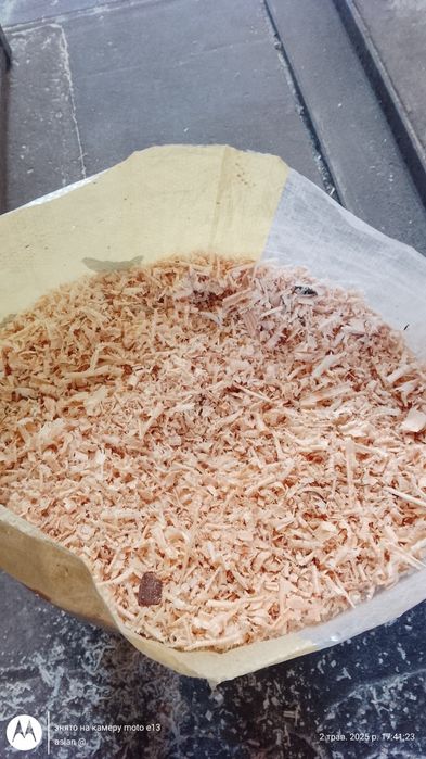 Стружка сосни для хомячків