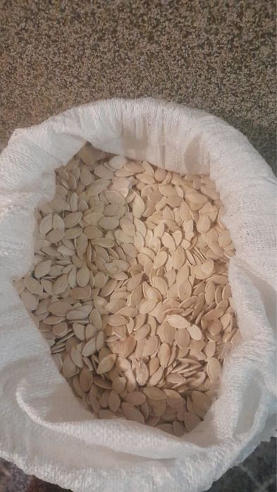 Продаю насіння гарбуза 90грн за кг