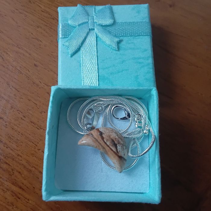 Fio de Prata com Jaspe Meia Lua