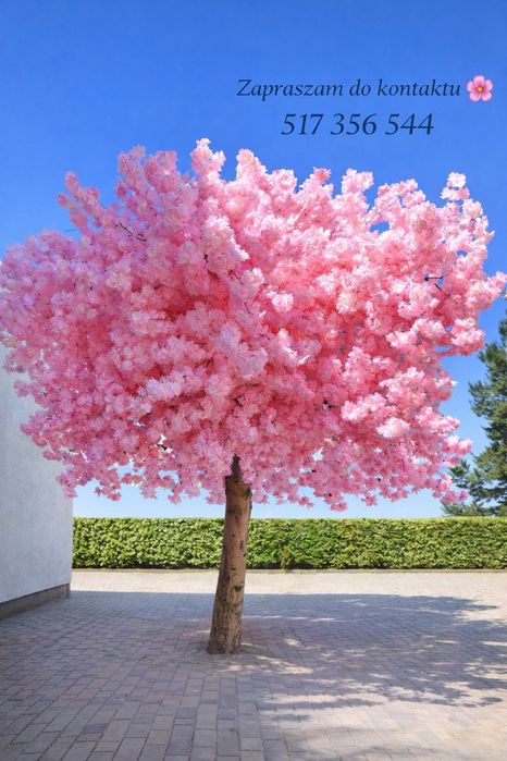 Drzewa sztucznej wiśni japońskiej