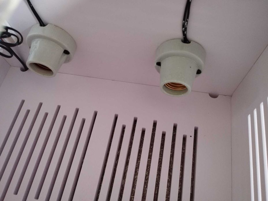 Maternidade, criação, temperatura constante, enfermaria pássaros