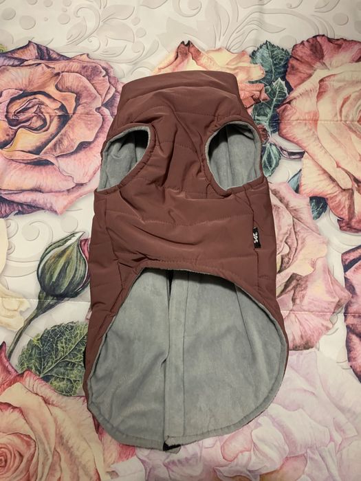 Roupa para cão de pequeno porte