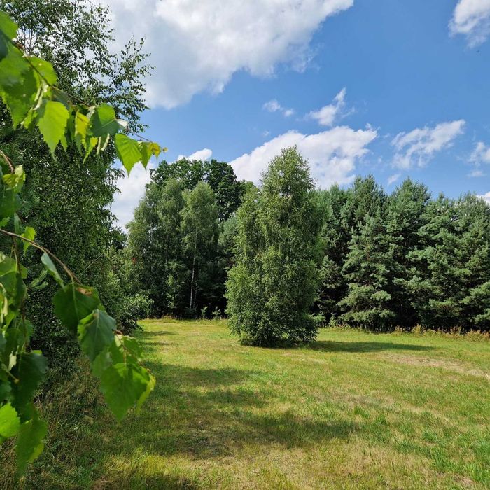 Sprzedam 2 działki budowlane przy lesie | 3000 m² | Udrzynek | asfalt