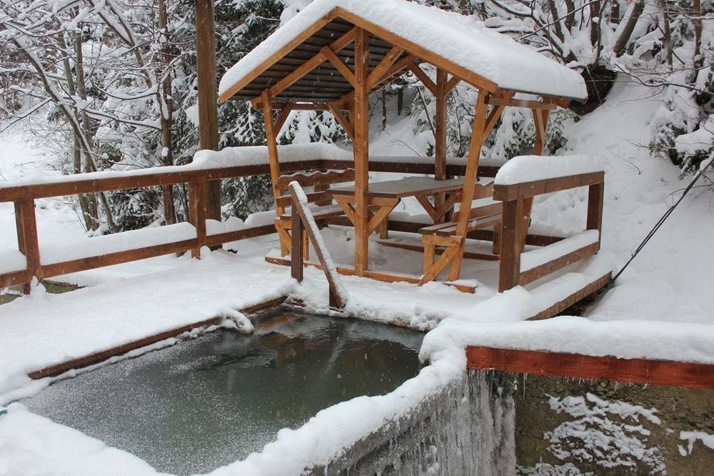 Котедж в Карпатах  Будинок в Мигово, оренда