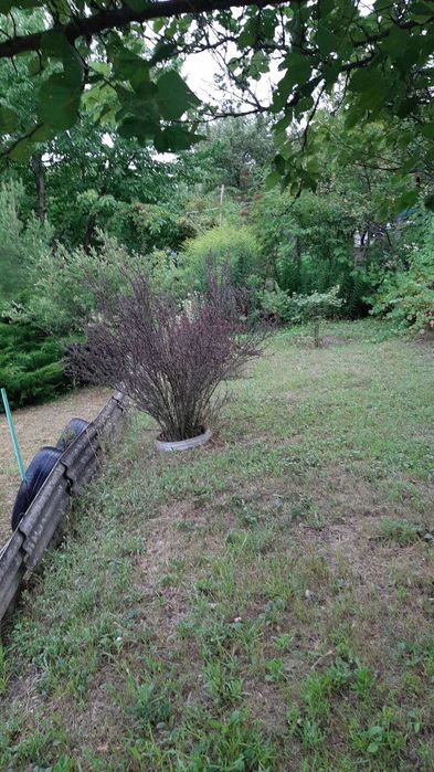 Продам 2 этажную дачу в районе Волосского