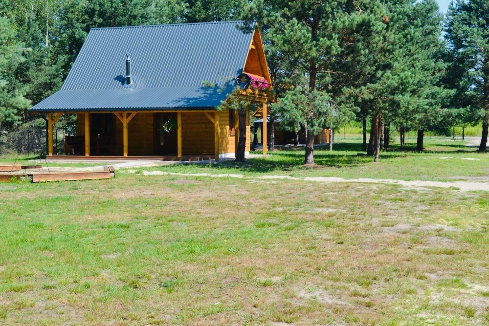 Wynajem domków!!! Balia, alpaki !