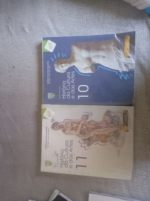 Livros de história da cultura e das artes 10⁰ e 11⁰ano