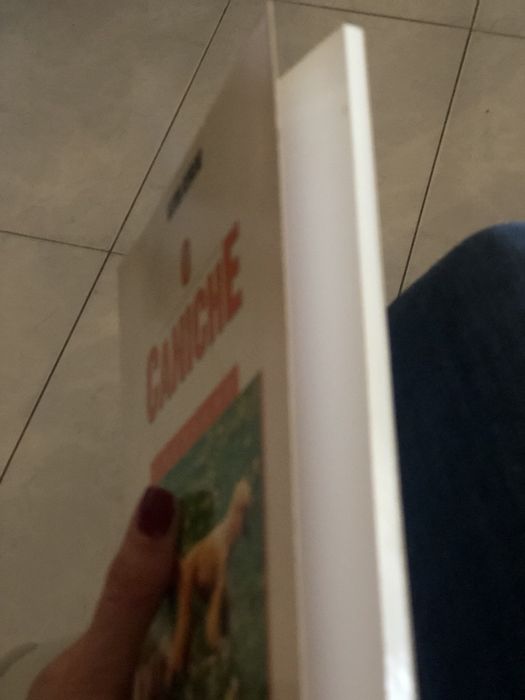 Livro o caniche