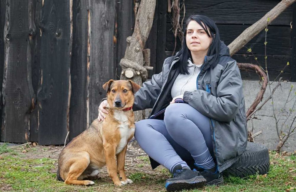 MATI - uroczy psiak prosi o dom