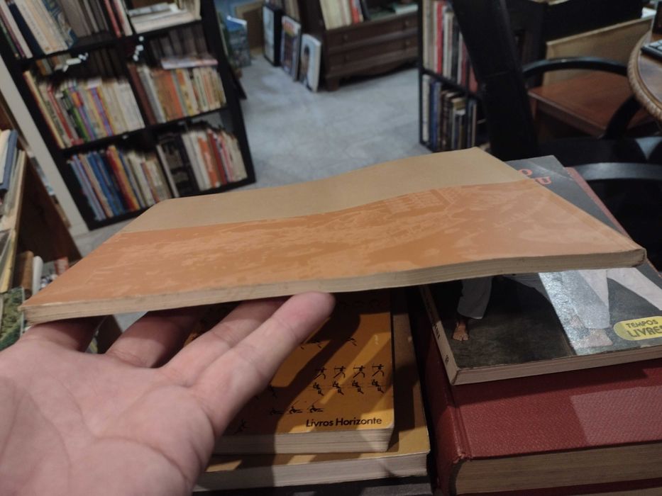 Maia: Um olhar sobre o século XX - Vítor Maia