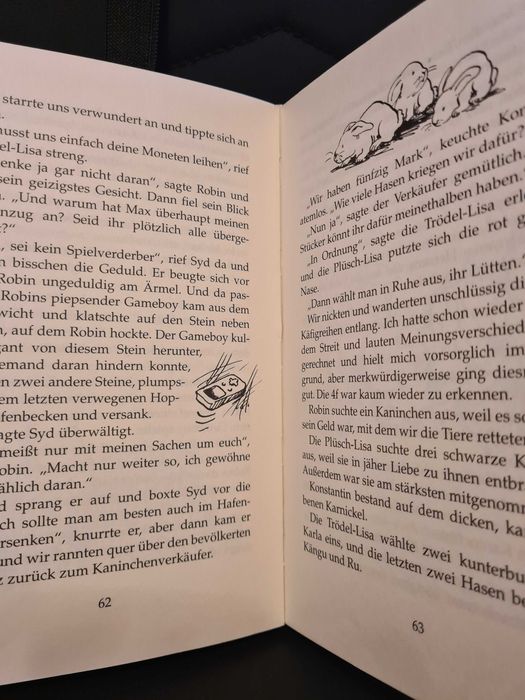 Klassenfahrt ins alte Schloss Gebundene Ausgabe – 1. Januar 1999