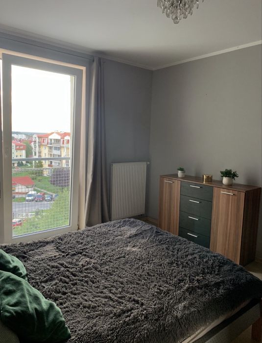 Zdjęcie 6