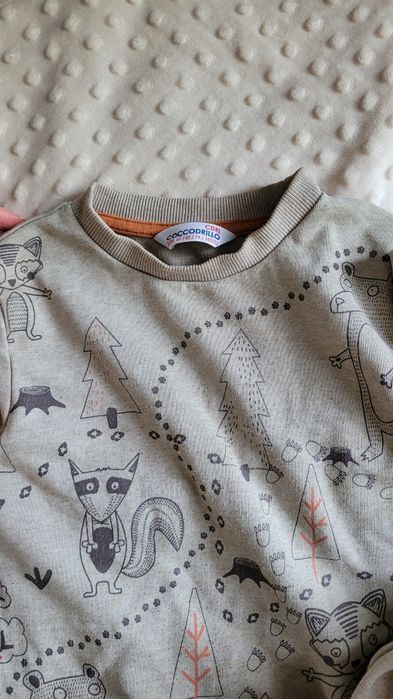 Bluza coccodrillo szara