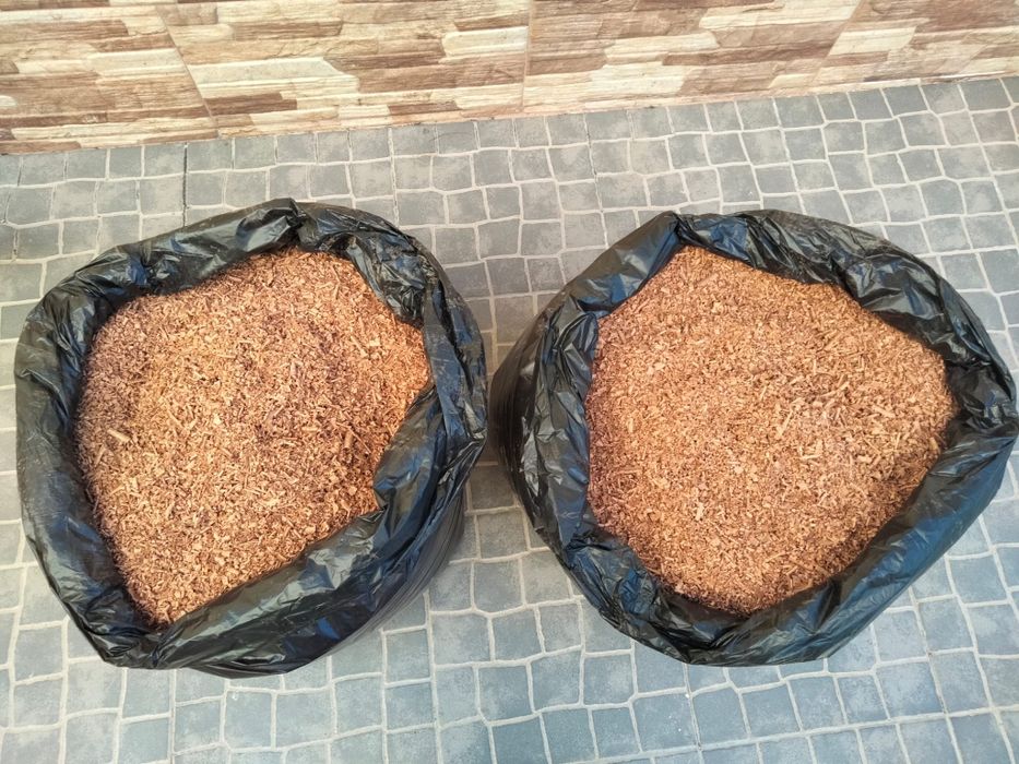 Aparas/serradura de madeira