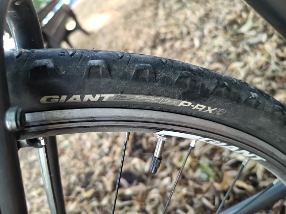 Rower Giant Roam 4 L