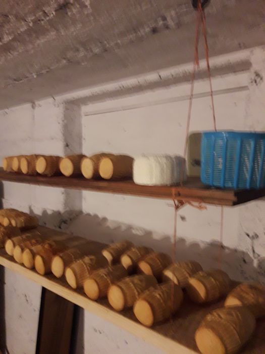 Siara kozia, Kozie oscypki ,mleko,bundz.