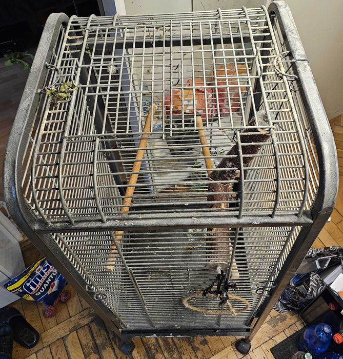 Klatka metalowa dla dużej papugi