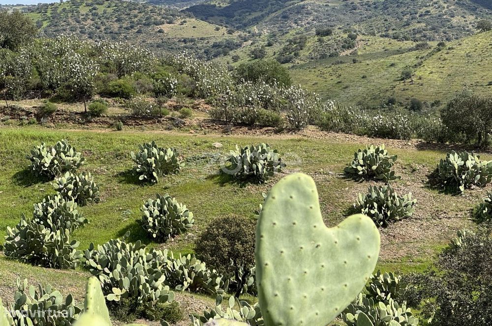 Herdade Vale do Guadiana 25HA