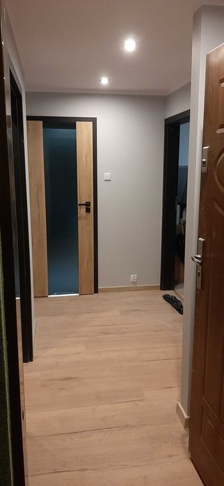 Remonty mieszkań, domów oraz obiektów użyteczności publicznej.