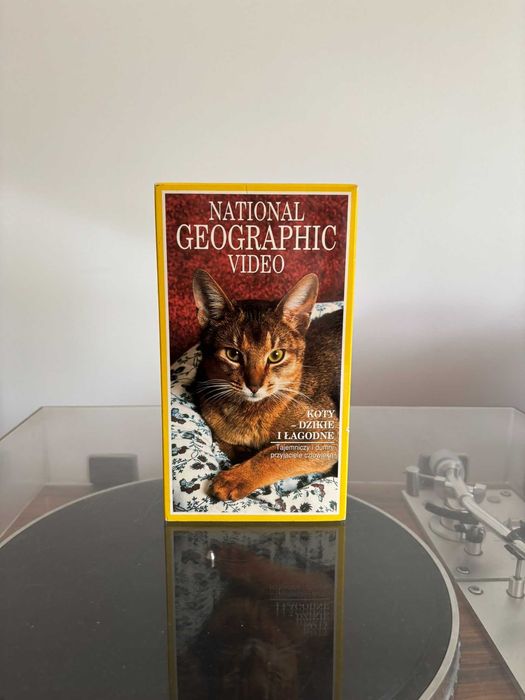 National Geographic Video - Koty dzikie i łagodne, kaseta VHS 1996